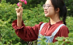 成品网站w灬源码入口